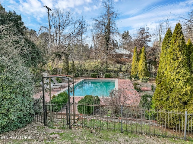 view of swimming pool