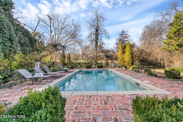 view of pool featuring a patio