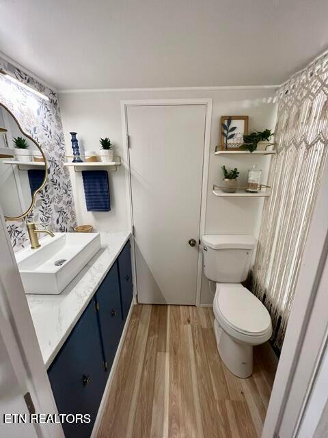 bathroom with hardwood / wood-style floors, vanity, and toilet