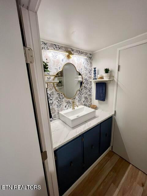 bathroom featuring vanity and wood-type flooring