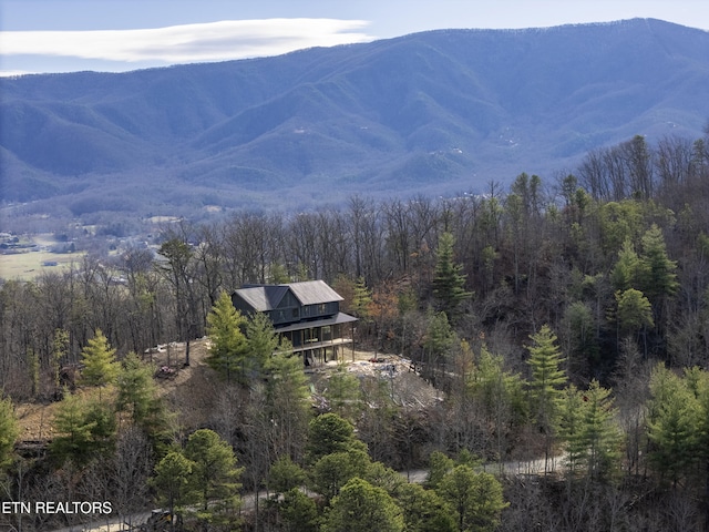 view of mountain feature