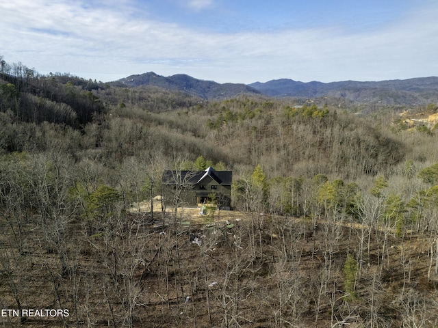 property view of mountains