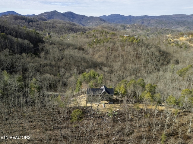 property view of mountains