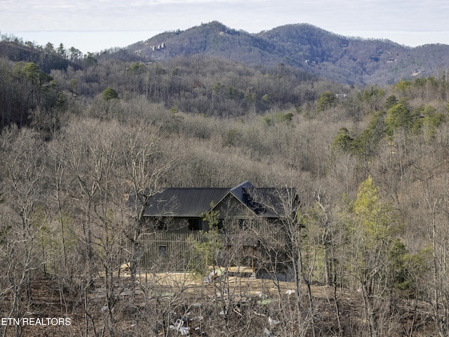 view of mountain feature