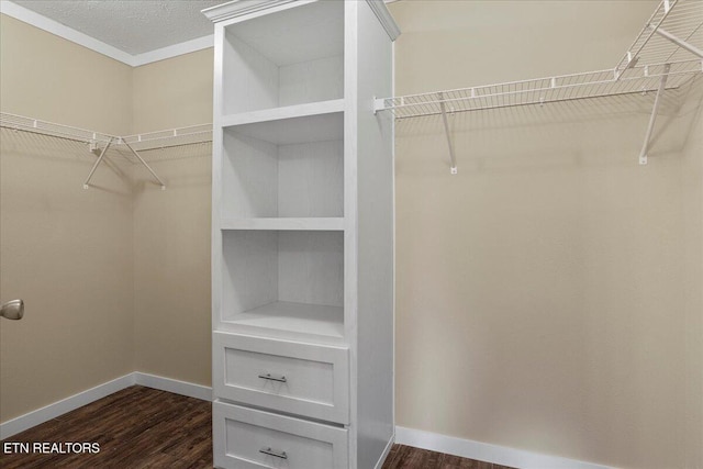 spacious closet with dark wood-type flooring