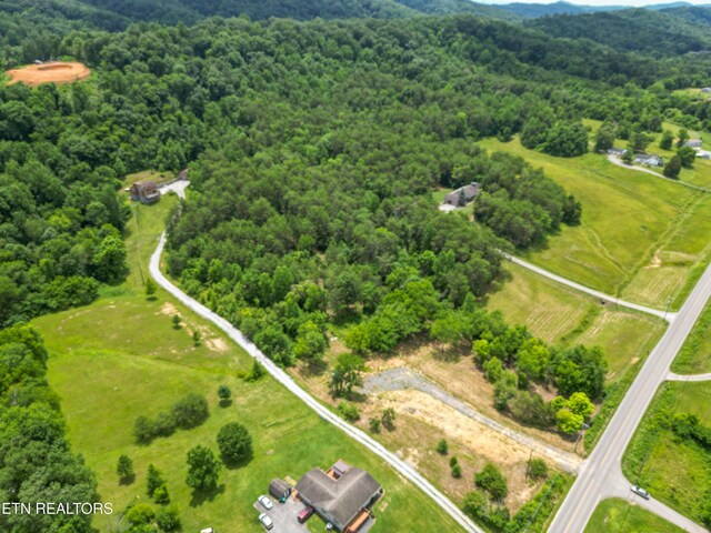 1440 Kimberlin Heights Rd, Knoxville, TN 37920 - photo 15