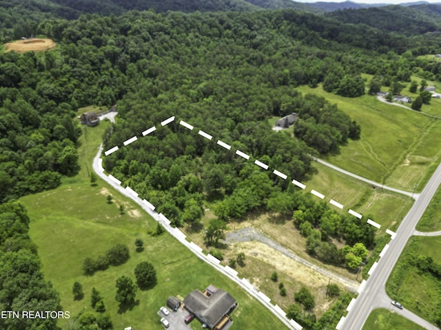 1440 Kimberlin Heights Rd, Knoxville, TN 37920 - photo 2