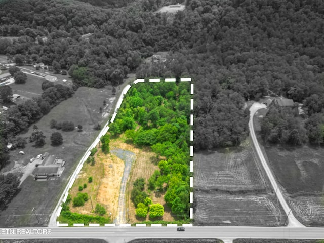 1440 Kimberlin Heights Rd, Knoxville, TN 37920 - photo 1
