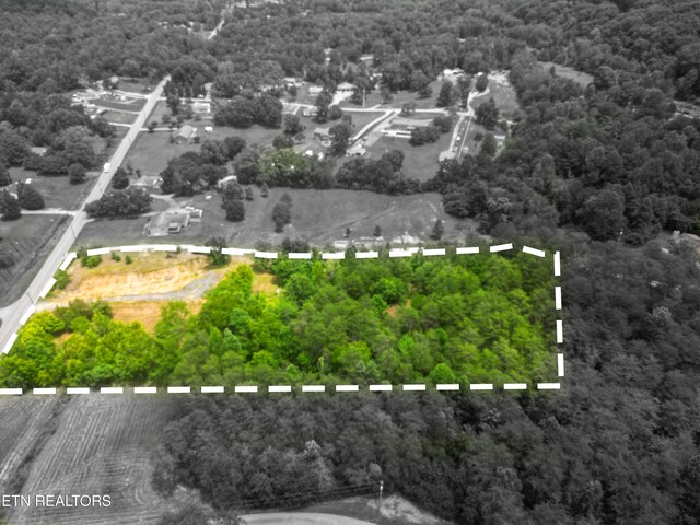 1440 Kimberlin Heights Rd, Knoxville, TN 37920 - photo 3