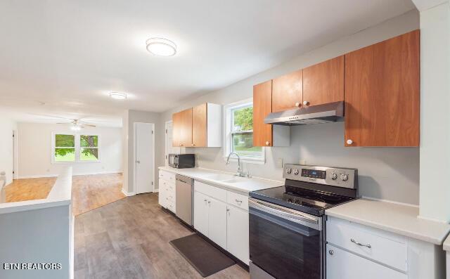 kitchen featuring sink, plenty of natural light, stainless steel appliances, and white cabinets