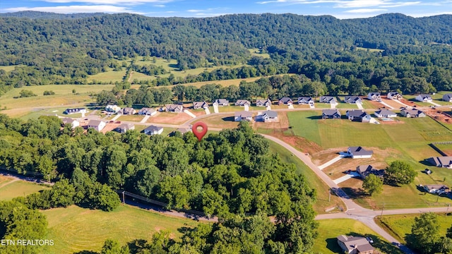 623 Farm Of The Smokies Way, Maryville, TN 37804 - photo 2
