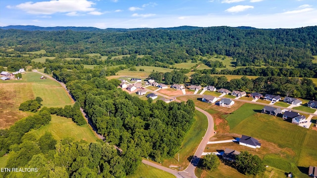 623 Farm Of The Smokies Way, Maryville, TN 37804 - photo 6