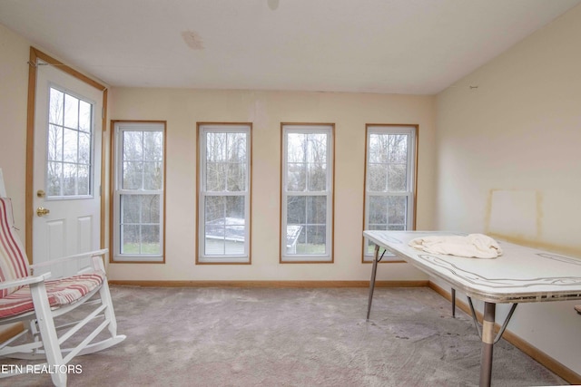 interior space with light carpet