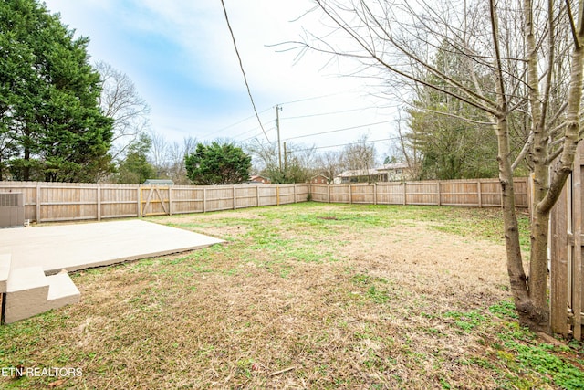 view of yard featuring a patio area