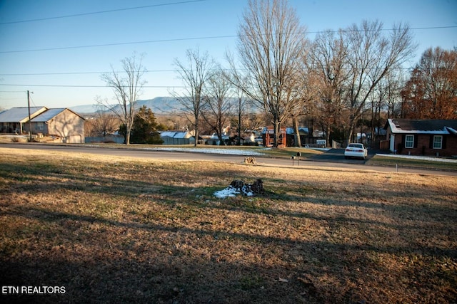 view of yard with a mountain view