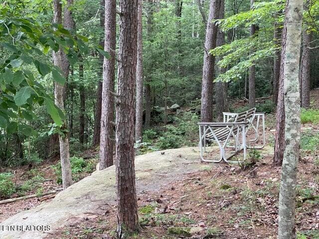 view of yard with a view of trees