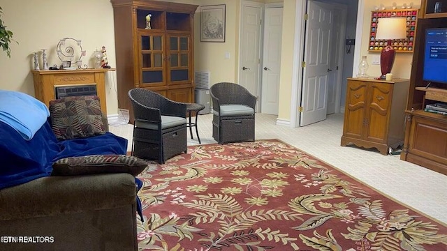 living area with carpet flooring