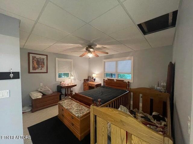 bedroom featuring a paneled ceiling, carpet flooring, and ceiling fan