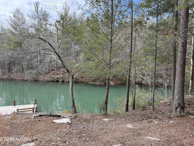 property view of water featuring a wooded view