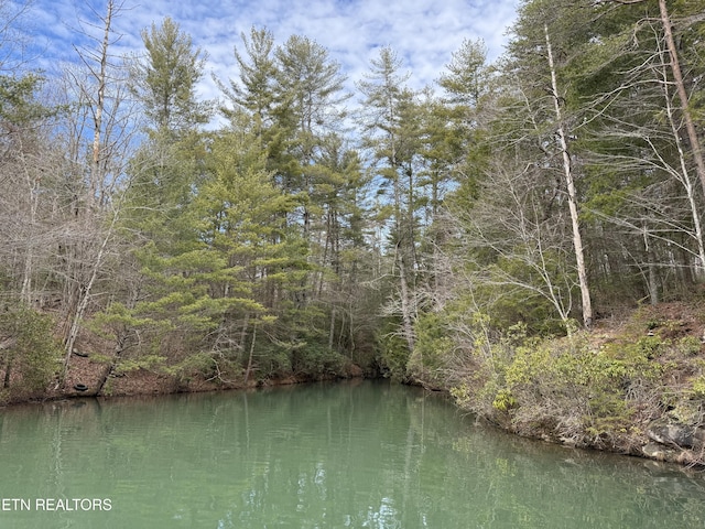 water view with a forest view