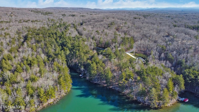 bird's eye view featuring a forest view and a mountain view