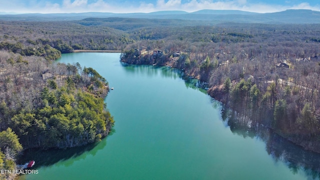 drone / aerial view featuring a view of trees and a water and mountain view