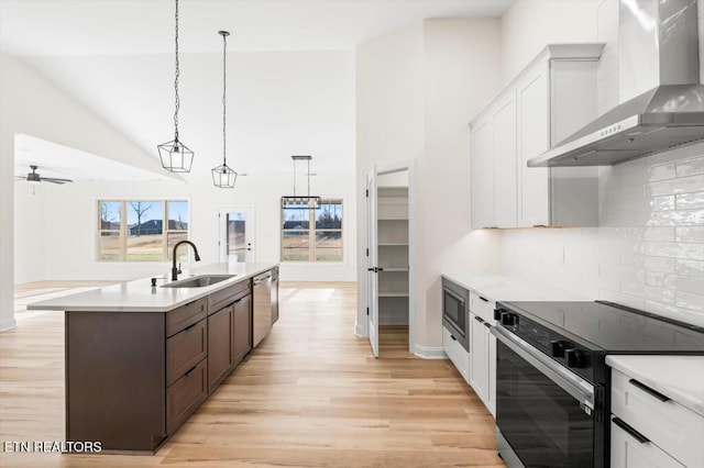 kitchen with white cabinetry, sink, wall chimney range hood, tasteful backsplash, and appliances with stainless steel finishes