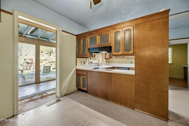 kitchen with light colored carpet and ceiling fan