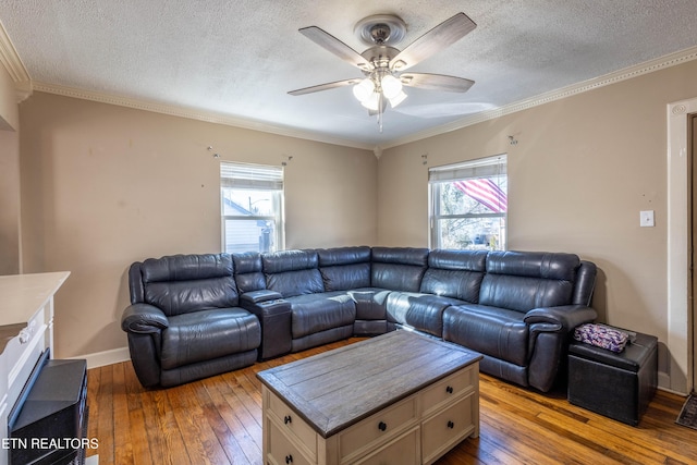 living room featuring a wealth of natural light, light hardwood / wood-style flooring, ornamental molding, and a textured ceiling