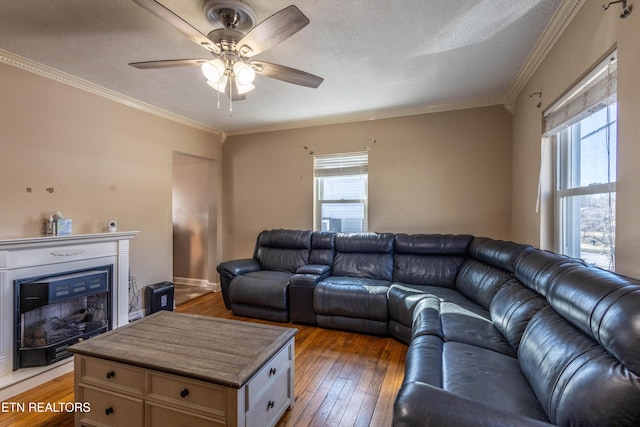 living room featuring dark hardwood / wood-style flooring, ceiling fan, ornamental molding, and a textured ceiling