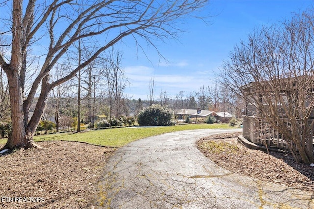 view of property's community with a yard