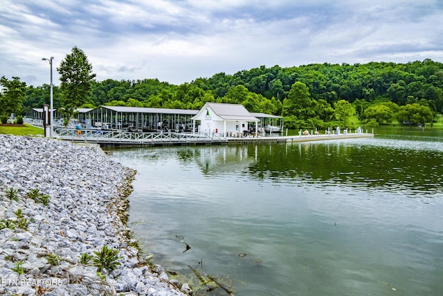 water view featuring a boat dock