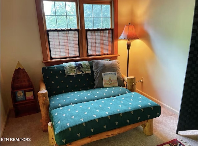 living area featuring carpet floors