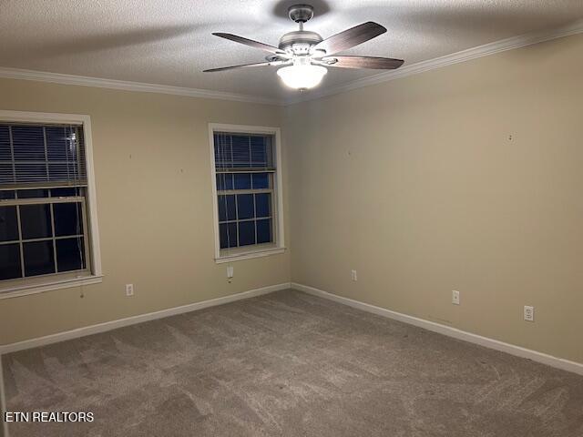 spare room with carpet flooring, a textured ceiling, ceiling fan, and ornamental molding