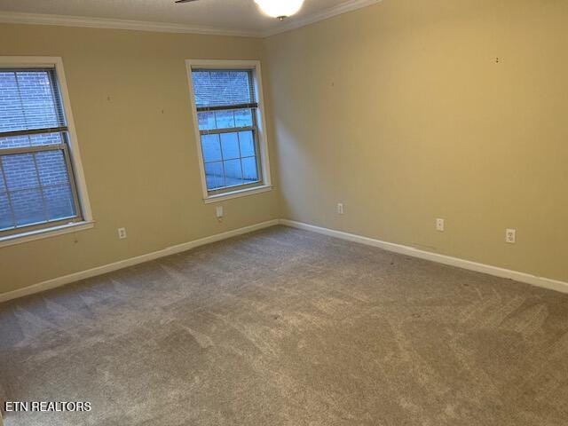 spare room with ceiling fan, ornamental molding, and carpet floors