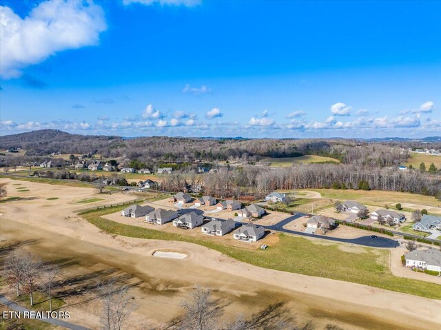 drone / aerial view featuring a mountain view