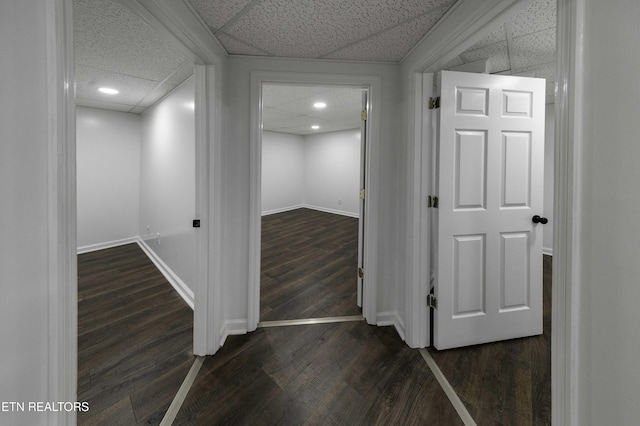 hallway with a paneled ceiling and dark hardwood / wood-style flooring