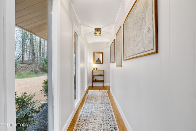 corridor with wood-type flooring and crown molding