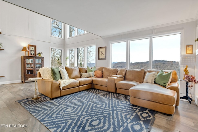 living room featuring crown molding