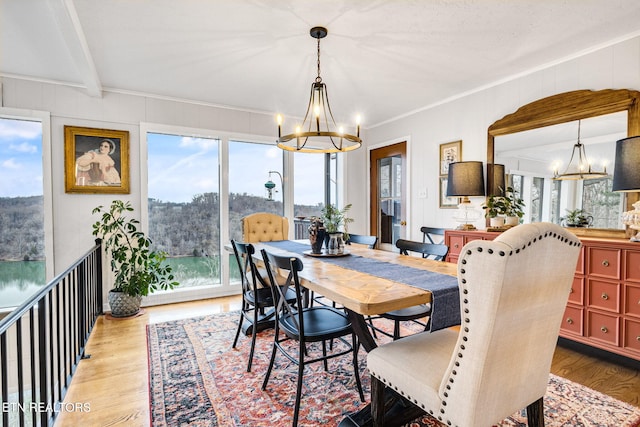 dining room featuring plenty of natural light, a chandelier, and hardwood / wood-style floors