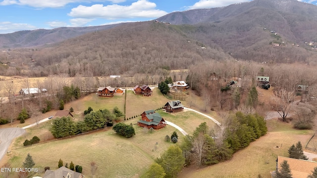 drone / aerial view with a mountain view