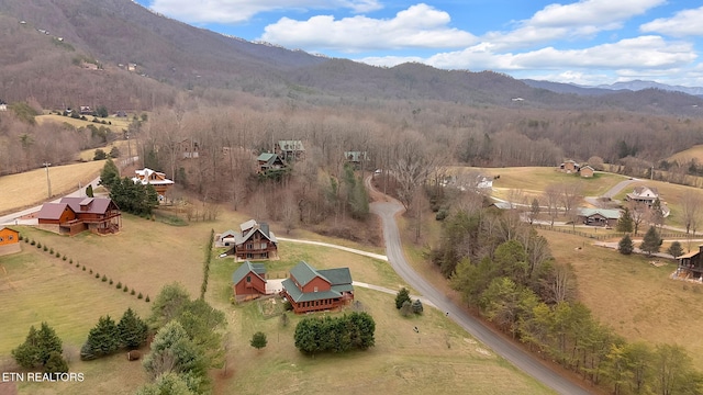 birds eye view of property with a mountain view and a rural view