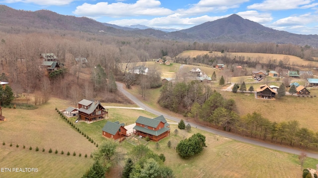 bird's eye view with a mountain view