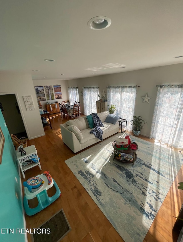 living room with hardwood / wood-style floors