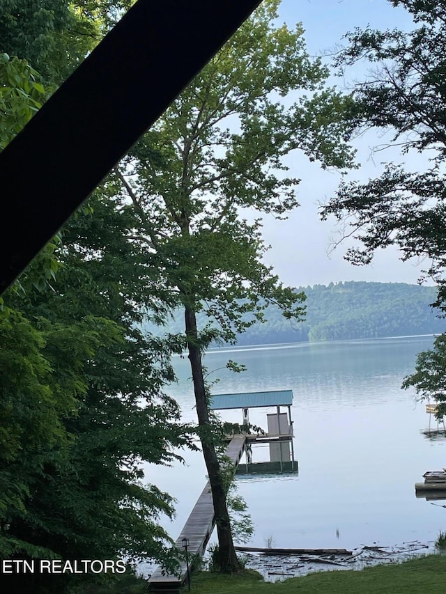752 Tanglewood Rd, Sharps Chapel, TN 37866 - water view featuring a boat dock