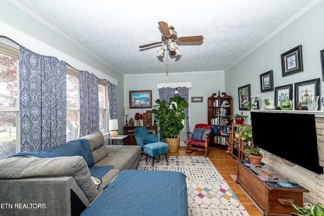 living room featuring ceiling fan, light wood-type flooring, a textured ceiling, and ornamental molding