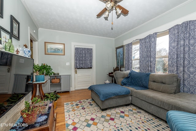 living room with ceiling fan, light hardwood / wood-style flooring, and ornamental molding