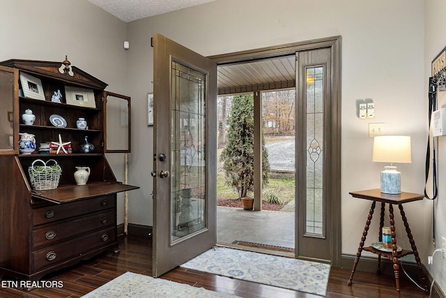 entrance foyer featuring dark wood-type flooring