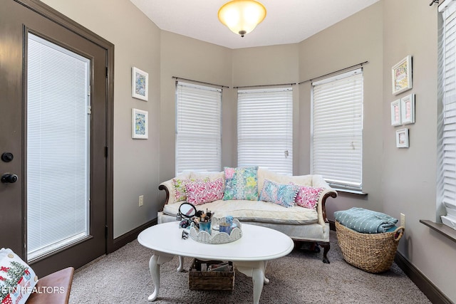 view of carpeted living room