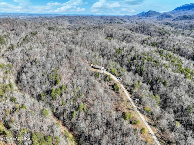 birds eye view of property with a mountain view